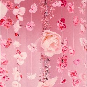 Meet your Posher, Carla